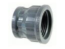 Rain Bird Reduziermuffe 1" IG x 3/4" IG,...